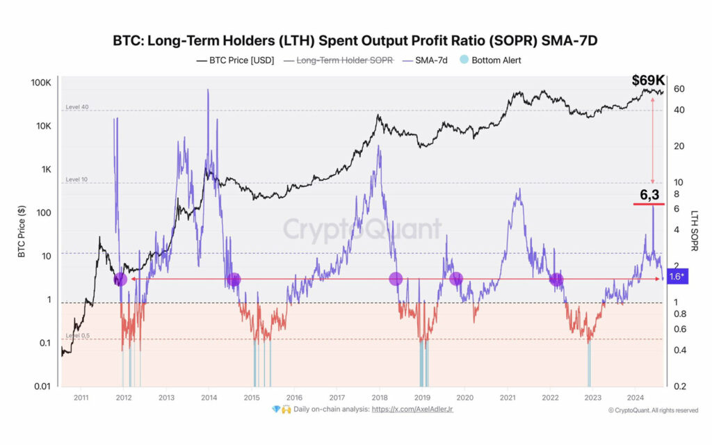 Bitcoin Chart Logterm-Hodler - Analyse