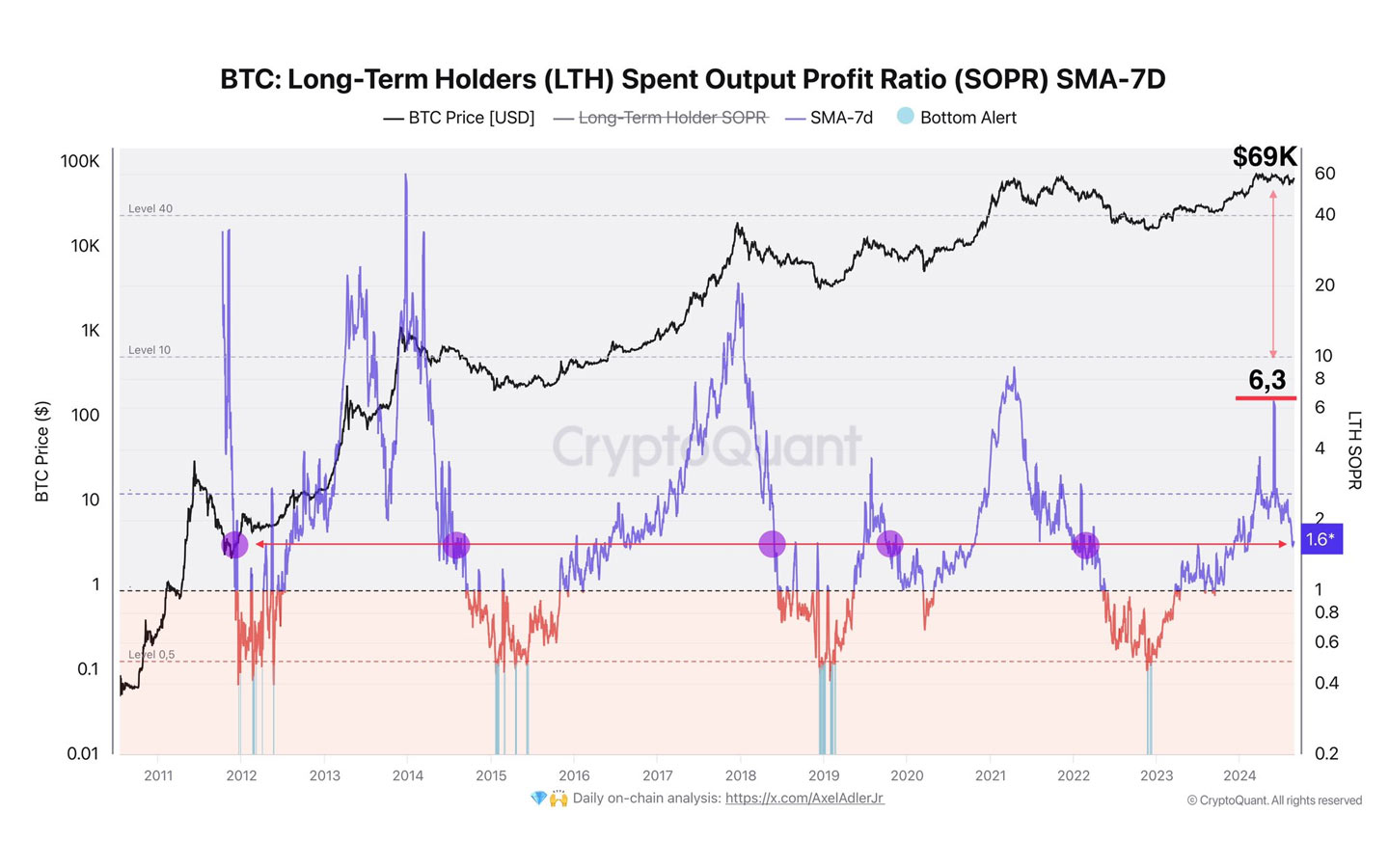 Bitcoin Chart Logterm-Hodler - Analyse